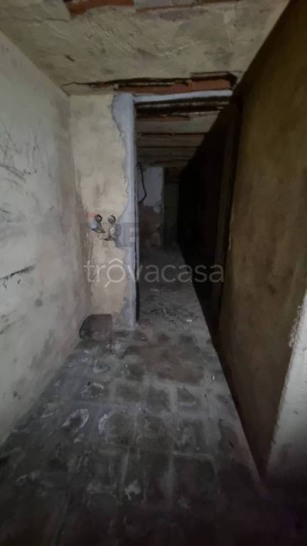 immagine annuncio 9 di 14