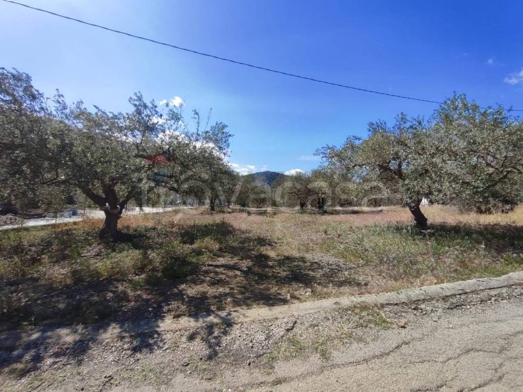 immagine annuncio 3 di 7