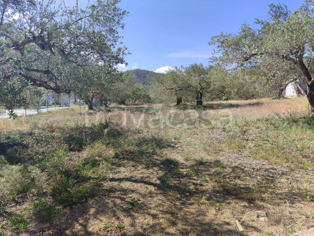 immagine annuncio 4 di 7