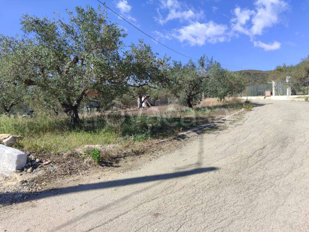 immagine annuncio 6 di 7