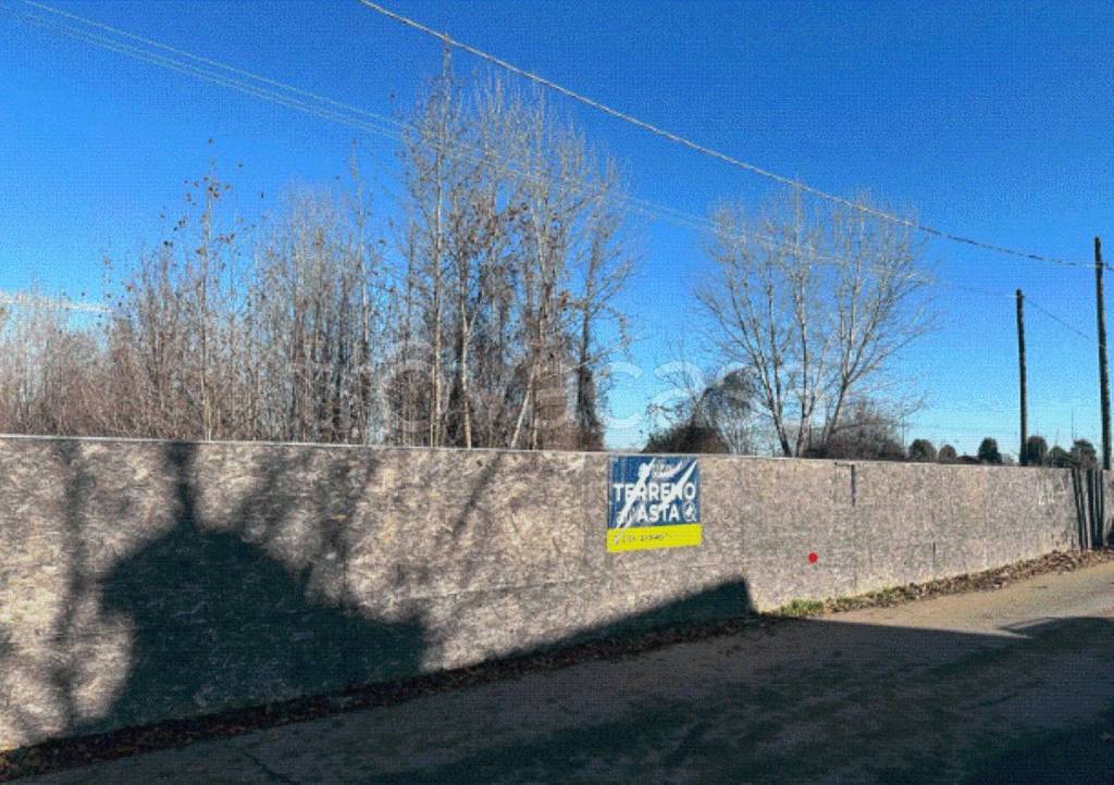 immagine annuncio 9 di 14