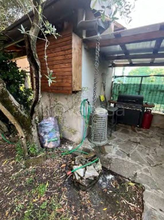 immagine annuncio 2 di 11