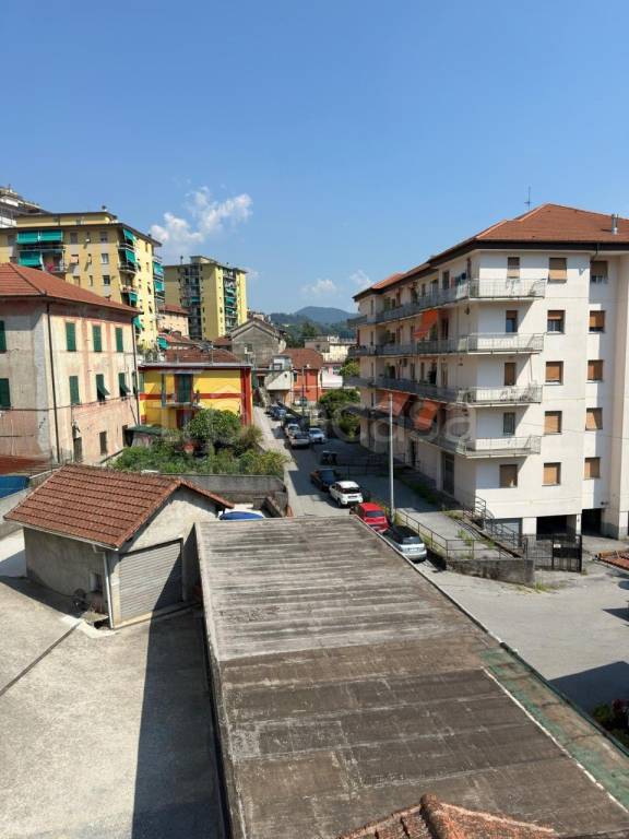 immagine annuncio 5 di 12