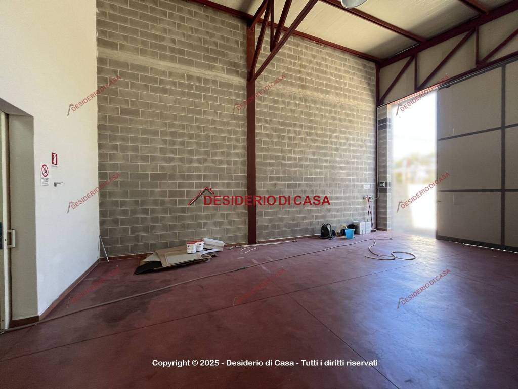 immagine annuncio 6 di 13