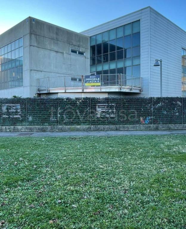 immagine annuncio 7 di 12