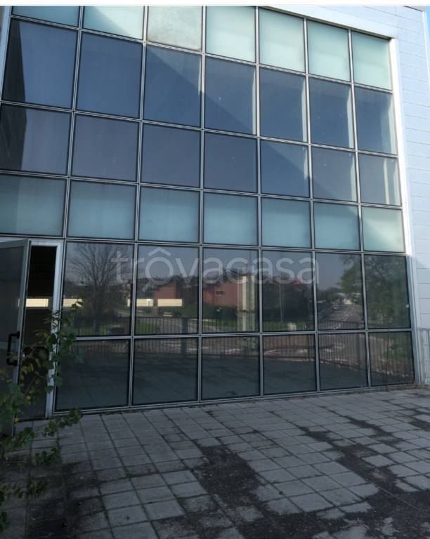 immagine annuncio 8 di 12