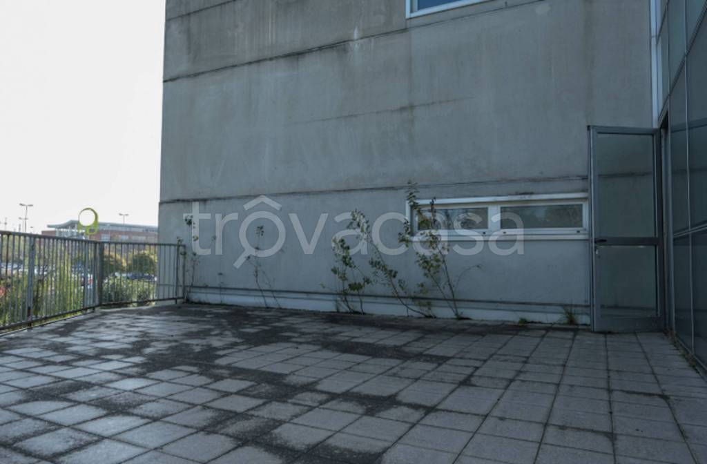 immagine annuncio 9 di 12