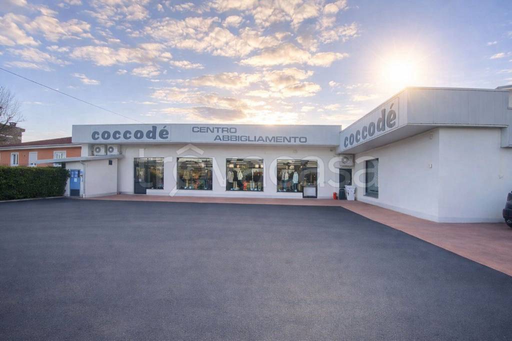 immagine annuncio 4 di 11