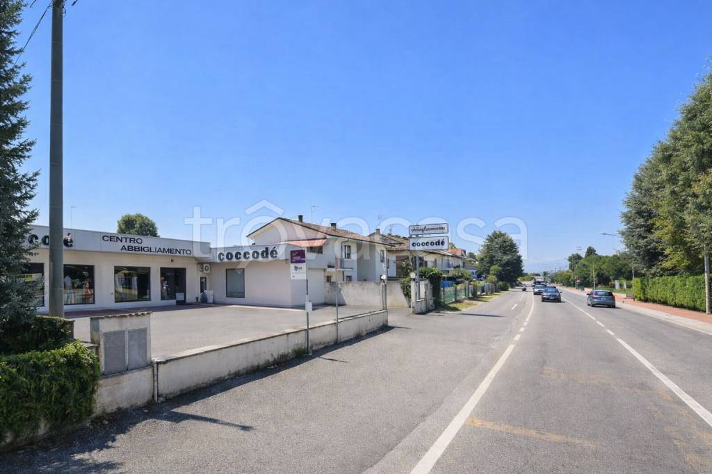 immagine annuncio 3 di 11