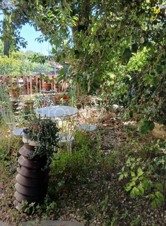 immagine annuncio 1 di 14