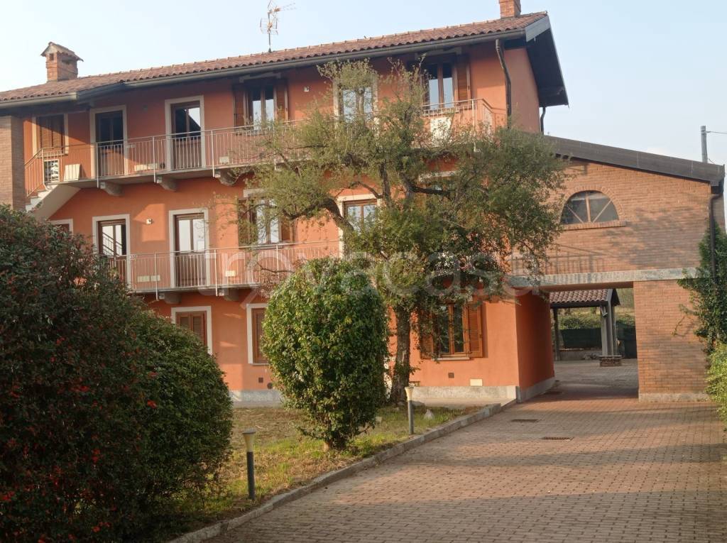 immagine annuncio 2 di 11