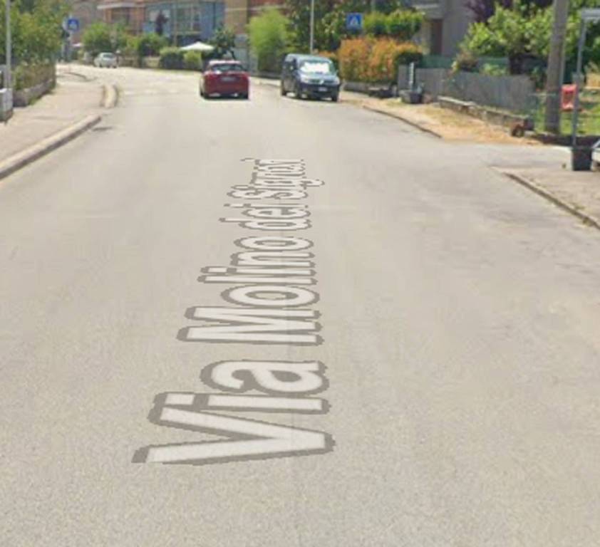 immagine annuncio 1 di 12