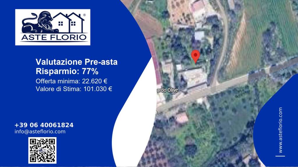 immagine annuncio 1 di 12