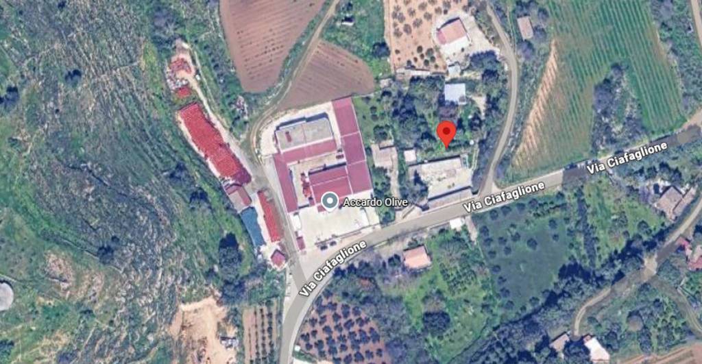 immagine annuncio 5 di 11