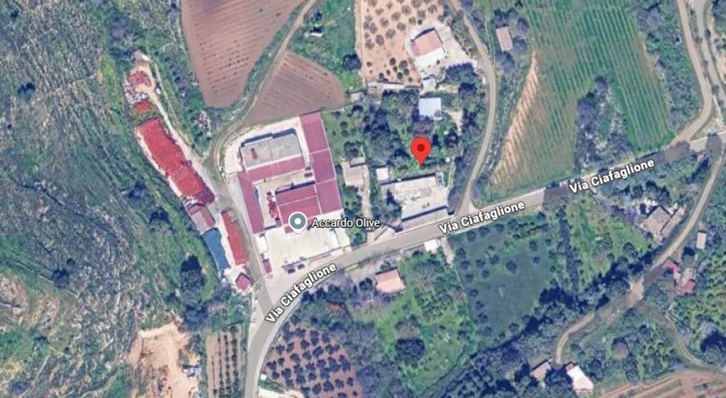 immagine annuncio 7 di 11