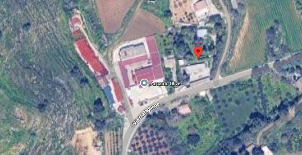 immagine annuncio 10 di 11