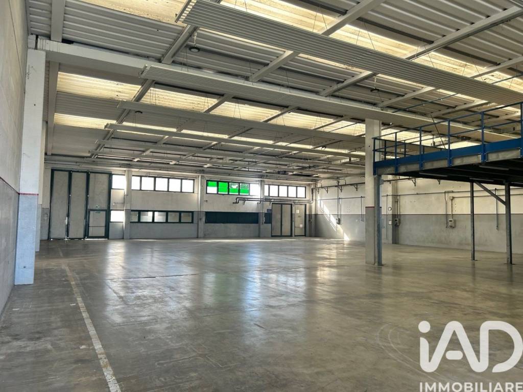 immagine annuncio 1 di 10