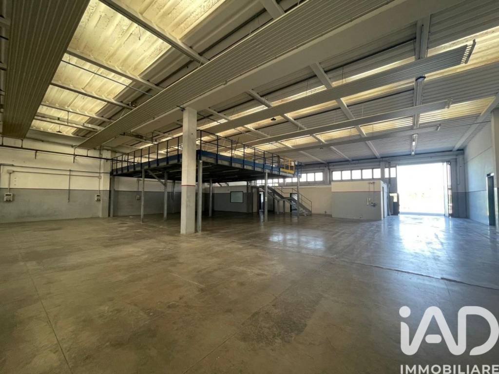 immagine annuncio 2 di 10