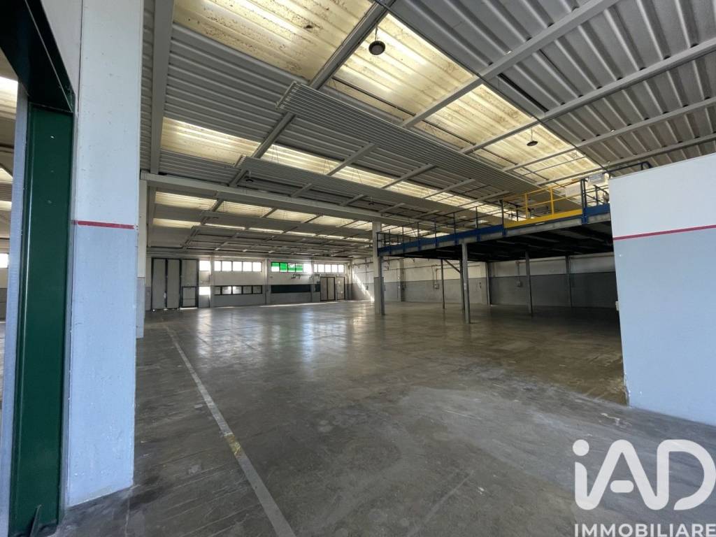 immagine annuncio 7 di 10