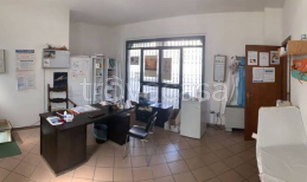 immagine annuncio 5 di 11