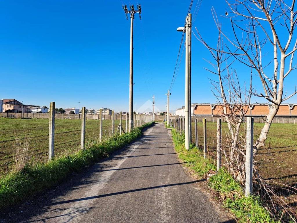 immagine annuncio 5 di 13