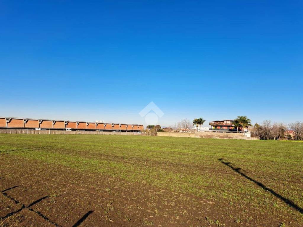 immagine annuncio 8 di 13