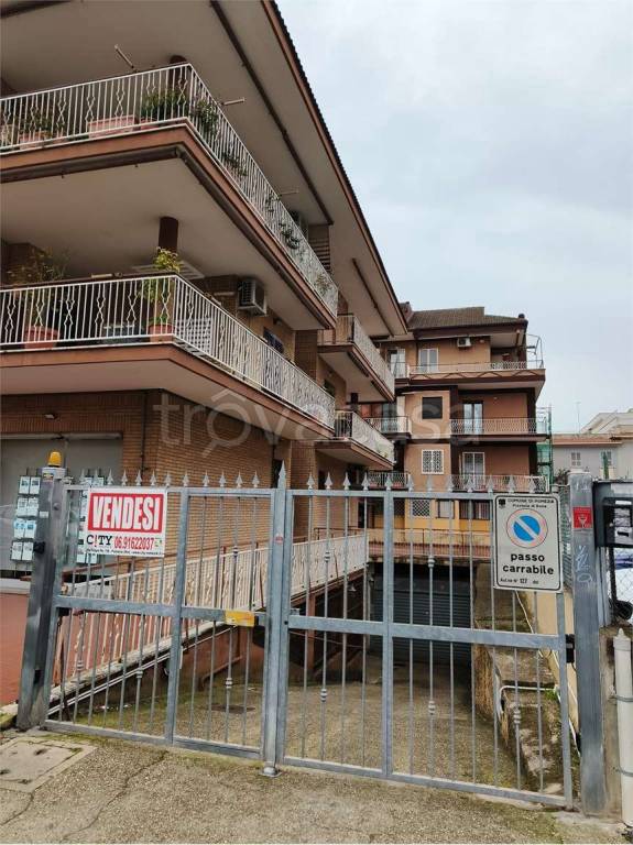 immagine annuncio 10 di 12