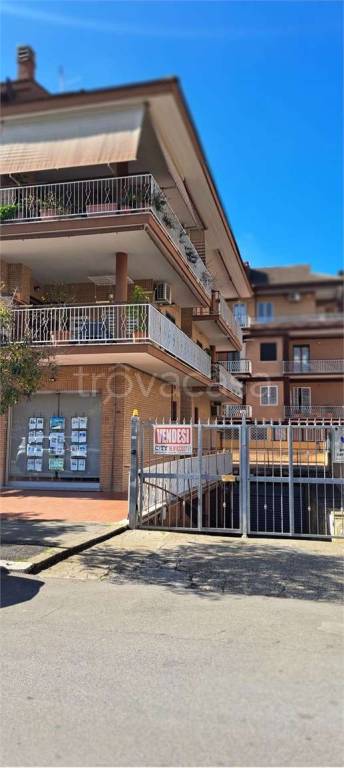 immagine annuncio 11 di 12