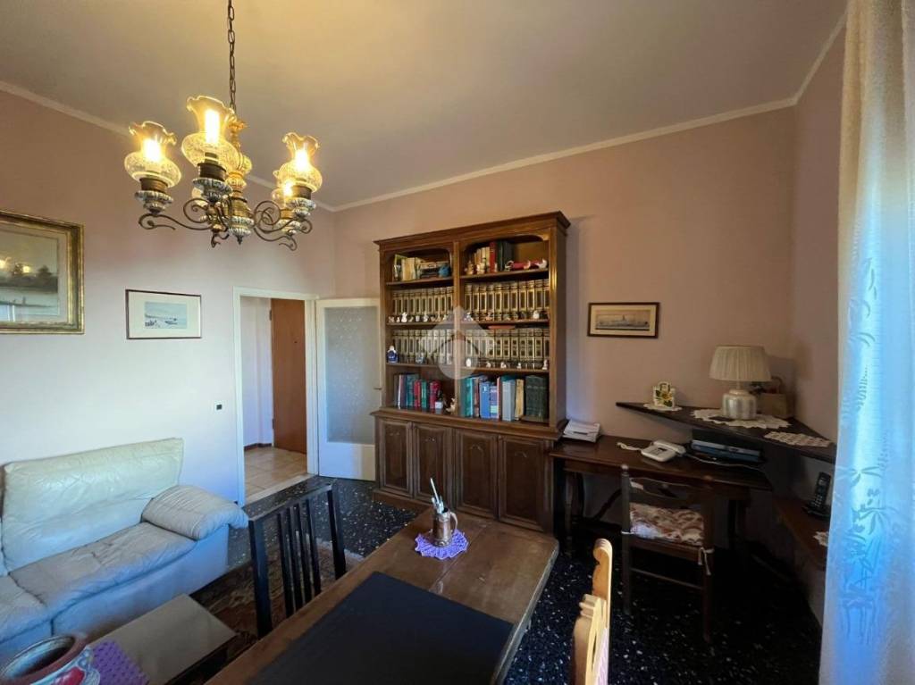 immagine annuncio 3 di 14