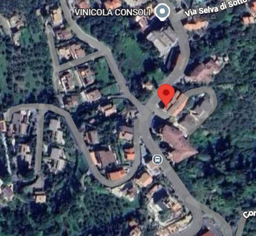 immagine annuncio 11 di 12