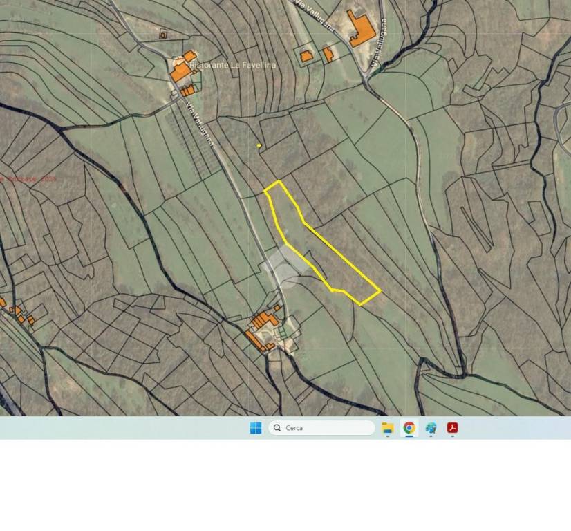 immagine annuncio 1 di 3