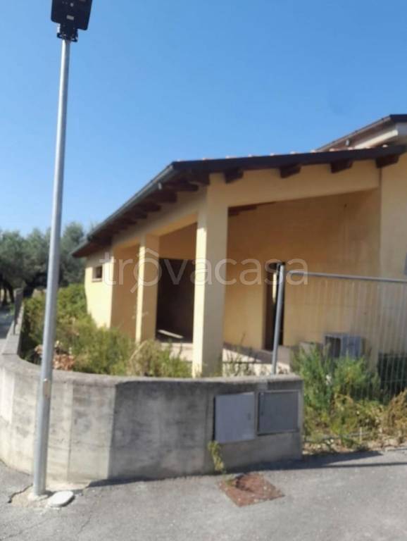 immagine annuncio 5 di 11