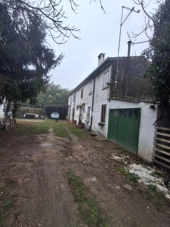 immagine annuncio 4 di 6