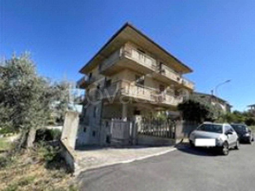 immagine annuncio 9 di 12