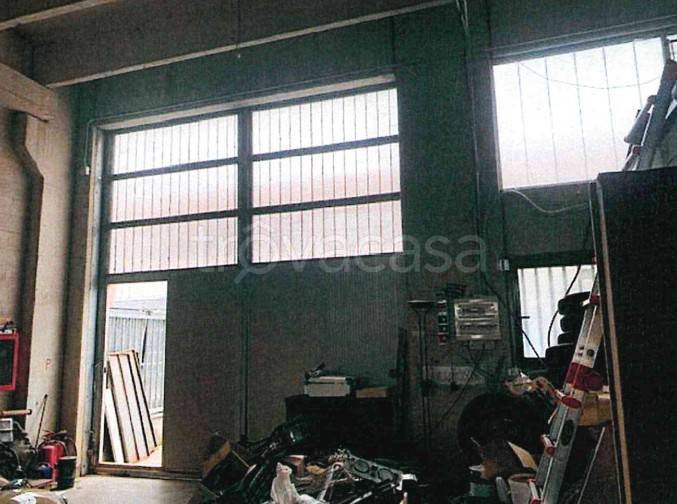 immagine annuncio 2 di 14