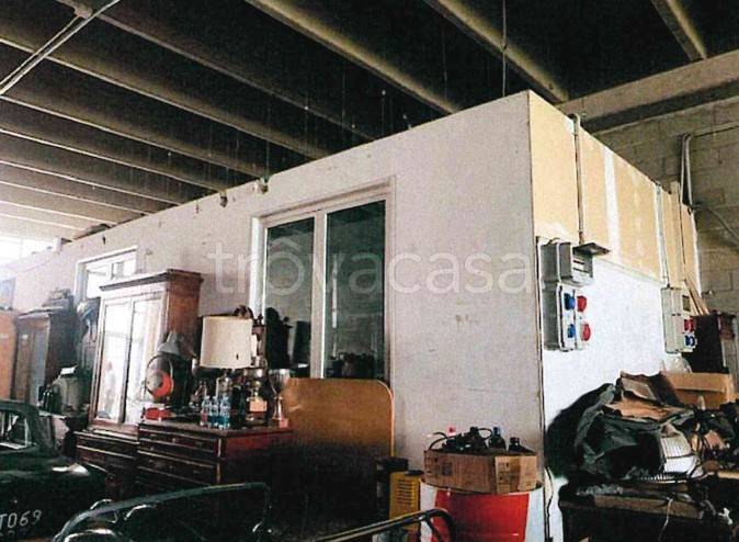 immagine annuncio 4 di 14