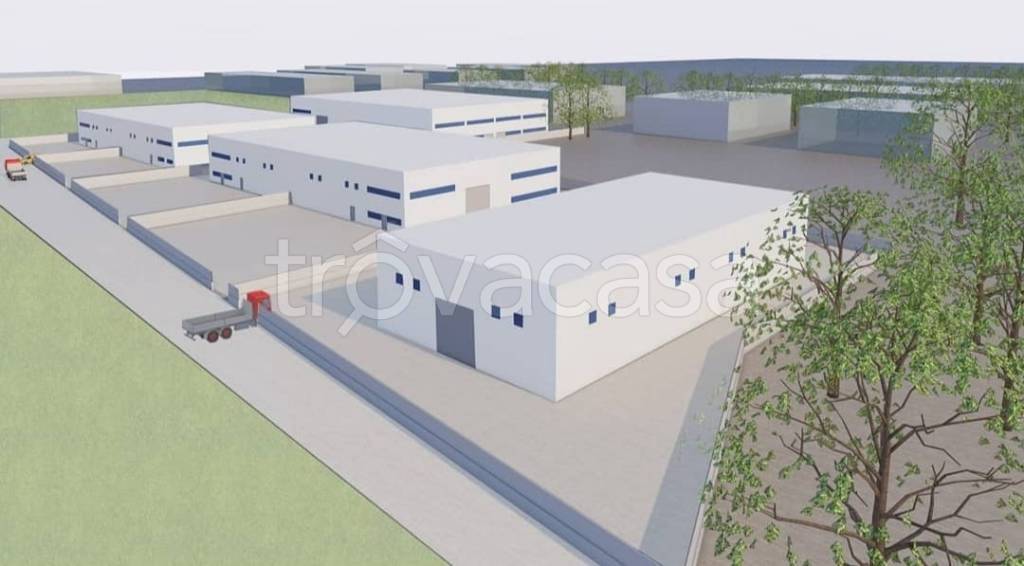 immagine annuncio 3 di 6