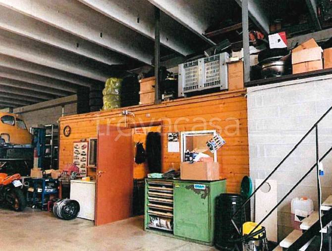 immagine annuncio 3 di 15