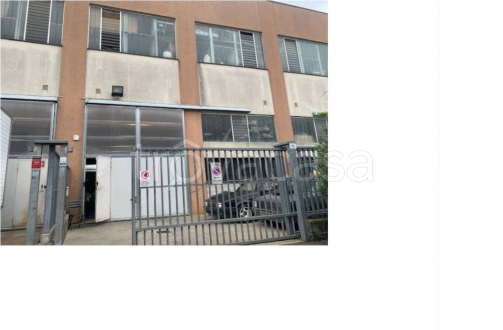 immagine annuncio 12 di 15