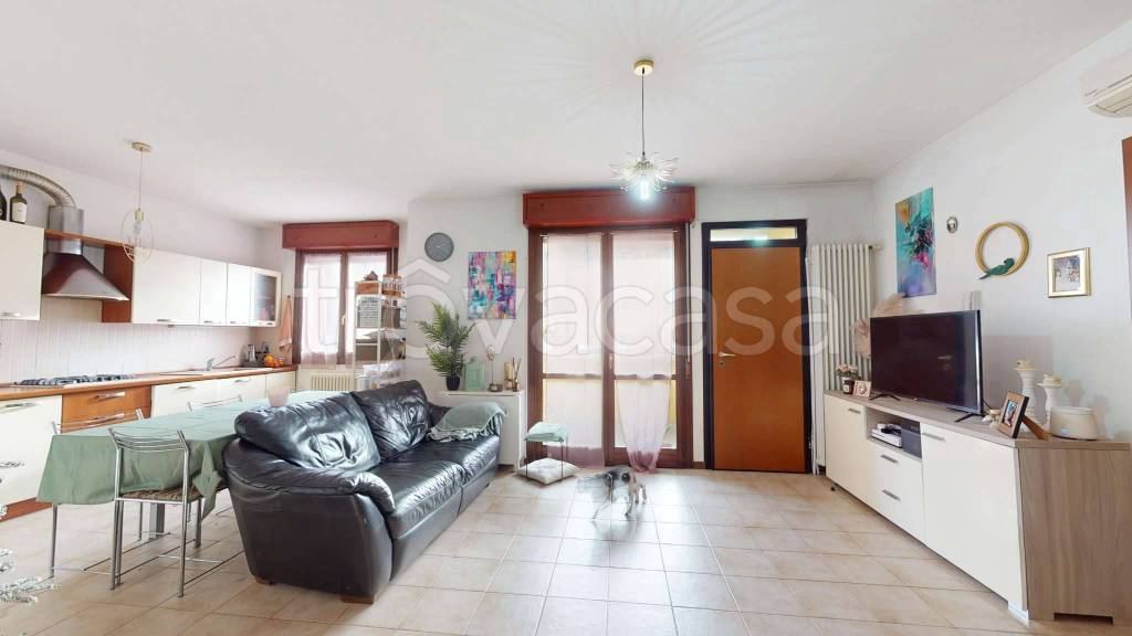 immagine annuncio 3 di 15