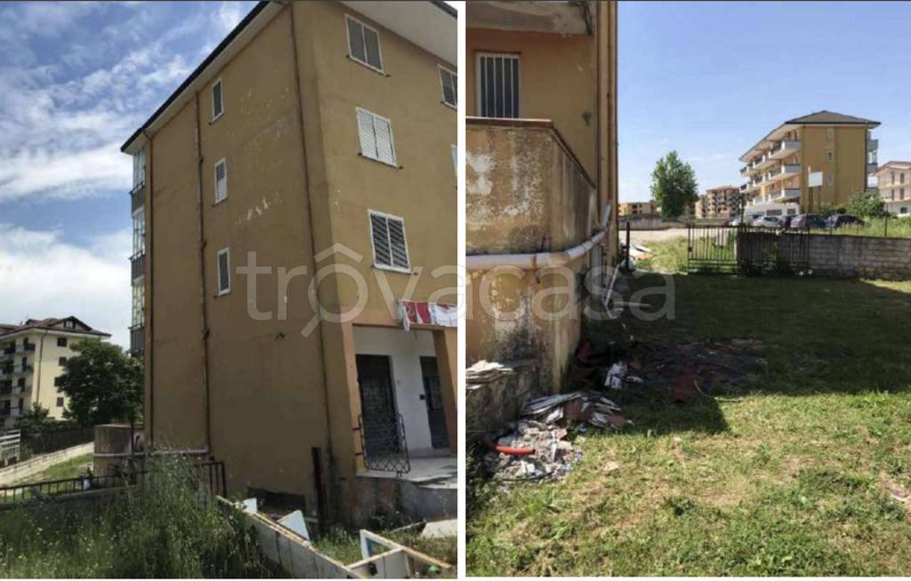 immagine annuncio 9 di 14