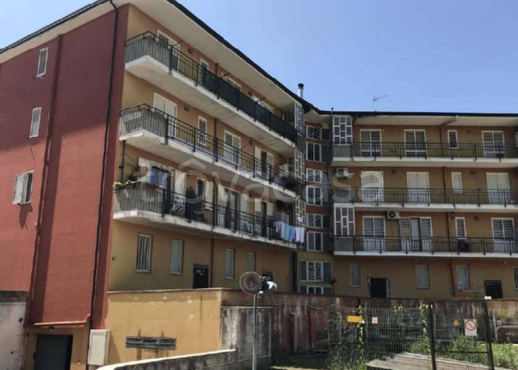 immagine annuncio 10 di 14