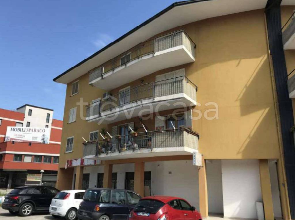 immagine annuncio 11 di 14