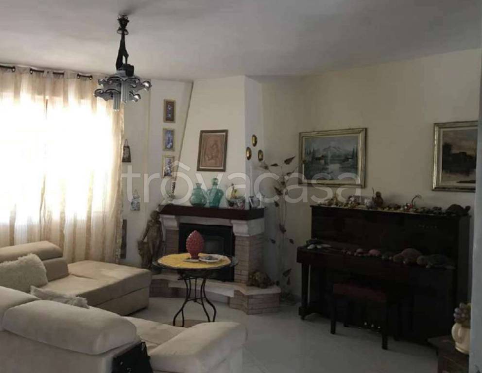 immagine annuncio 12 di 14