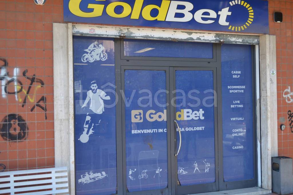 immagine annuncio 10 di 12