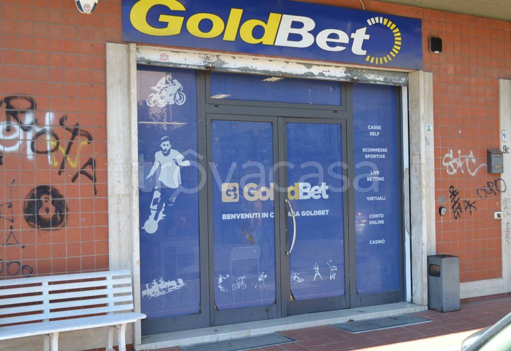 immagine annuncio 9 di 12