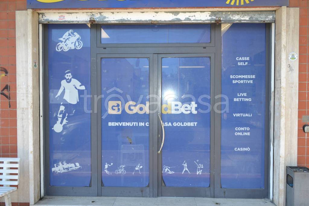 immagine annuncio 8 di 12