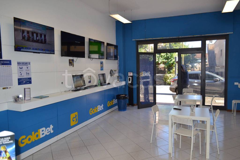 immagine annuncio 4 di 12