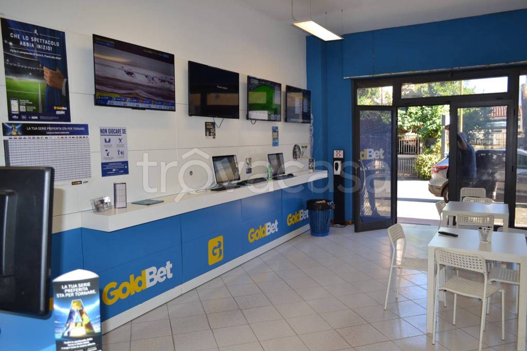 immagine annuncio 5 di 12