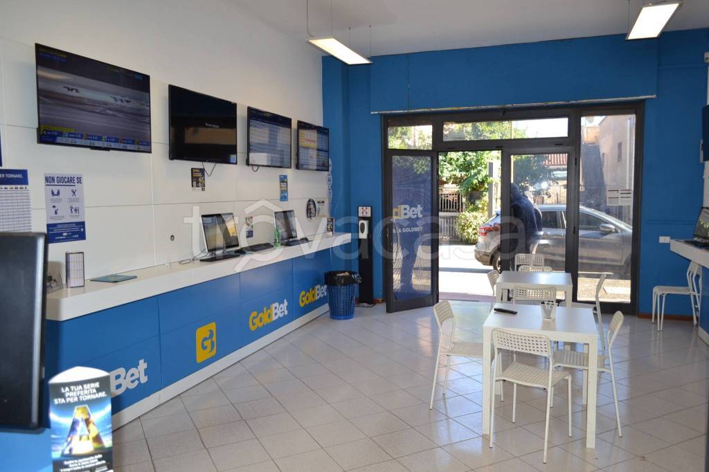 immagine annuncio 6 di 12